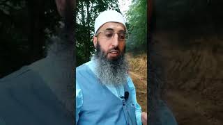 Jemmer Sinyal bozucu şeytan.