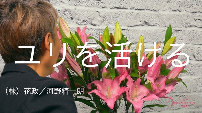 桜とユリでラブリーな季 トキ になる 株 花政 河野精一朗 Youtube 桜とユリでラブリーな季 トキ になる 株 花政 河野精一朗 Youtube