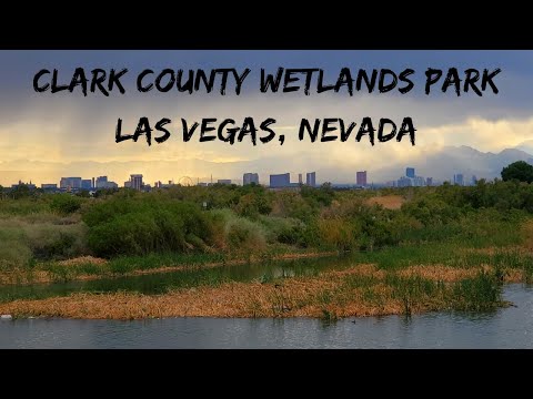 Video: Clark County Wetlands Park: Die volledige gids