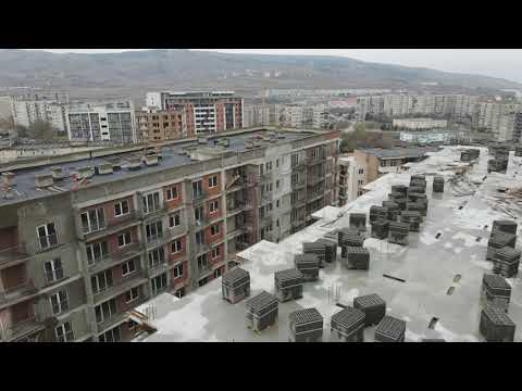 ვივა დიღომი