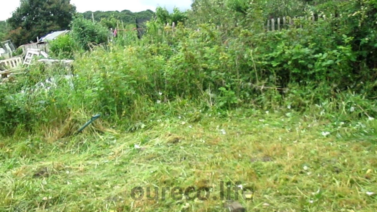 Strimming weeds and clearing ground on the crops allotment