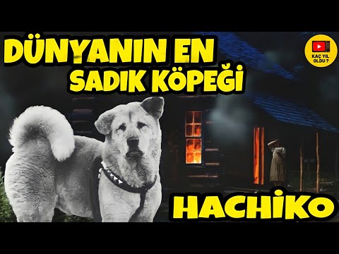 10 YIL Boyunca sahibini aynı yerde bekleyen KÖPEK HACHİKO