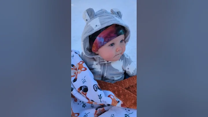 Tillie's first sled ride in a Steamboat Springs, CO 12/22/22