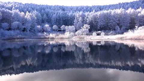 سورة الفلق بصوت القارئ عماد المنصري