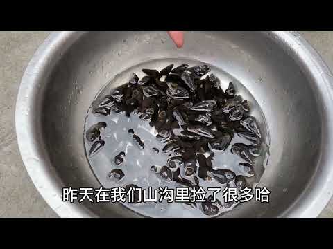 把田螺放入白酒里，“寄生虫”立马跑出来，大家一起看看吧