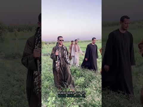 الحقيقه الأمن يعرف مدي قوه الصعايده الأمن المصري يعرف تماما مدي قوه الصعايده 