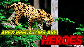 The Role of Apex Predators: Maintaining Balance in the Jungle Ecosystem | #animals #facts #viral