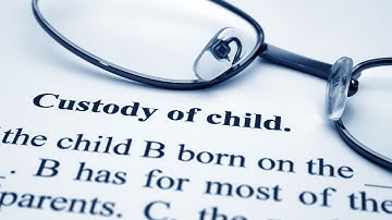 What are your greatest frustrations with the system in which you work - Professor Jo Delahunty QC