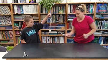 Sound and vibrations!