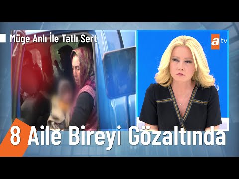 Video: Kasım Ayında Nereye Gidebilirsin