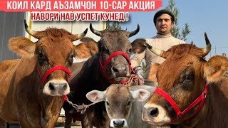 картинка: 😳ҚОИЛ КАРД 10-САР МОЛҲОИ ХЕЛЕ АРЗОН УСПЕТ КУНЕД 12 ноября 2025 г.