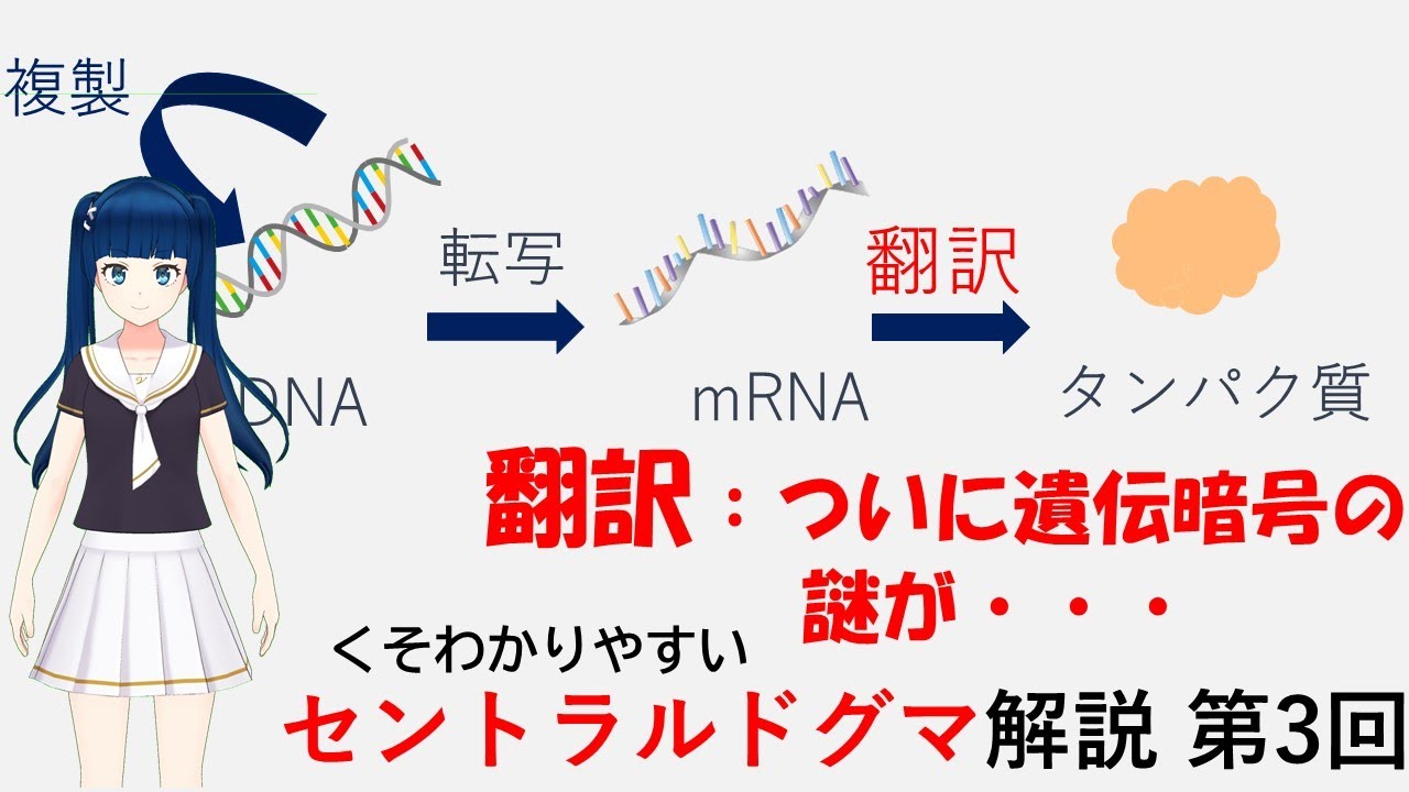 ドグマ セントラル