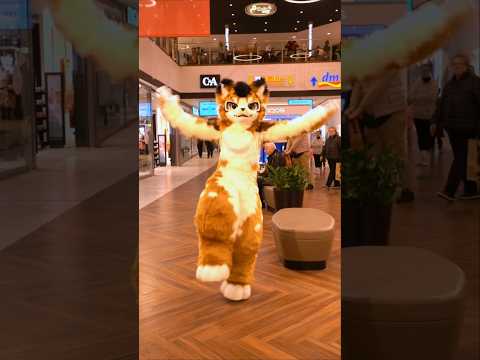 【Fursuit Dance】Luxxy - ZOO