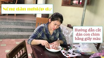 Nông dân nghiệp dư  | Hướng dẫn cắt dán con chim bằng giấy màu