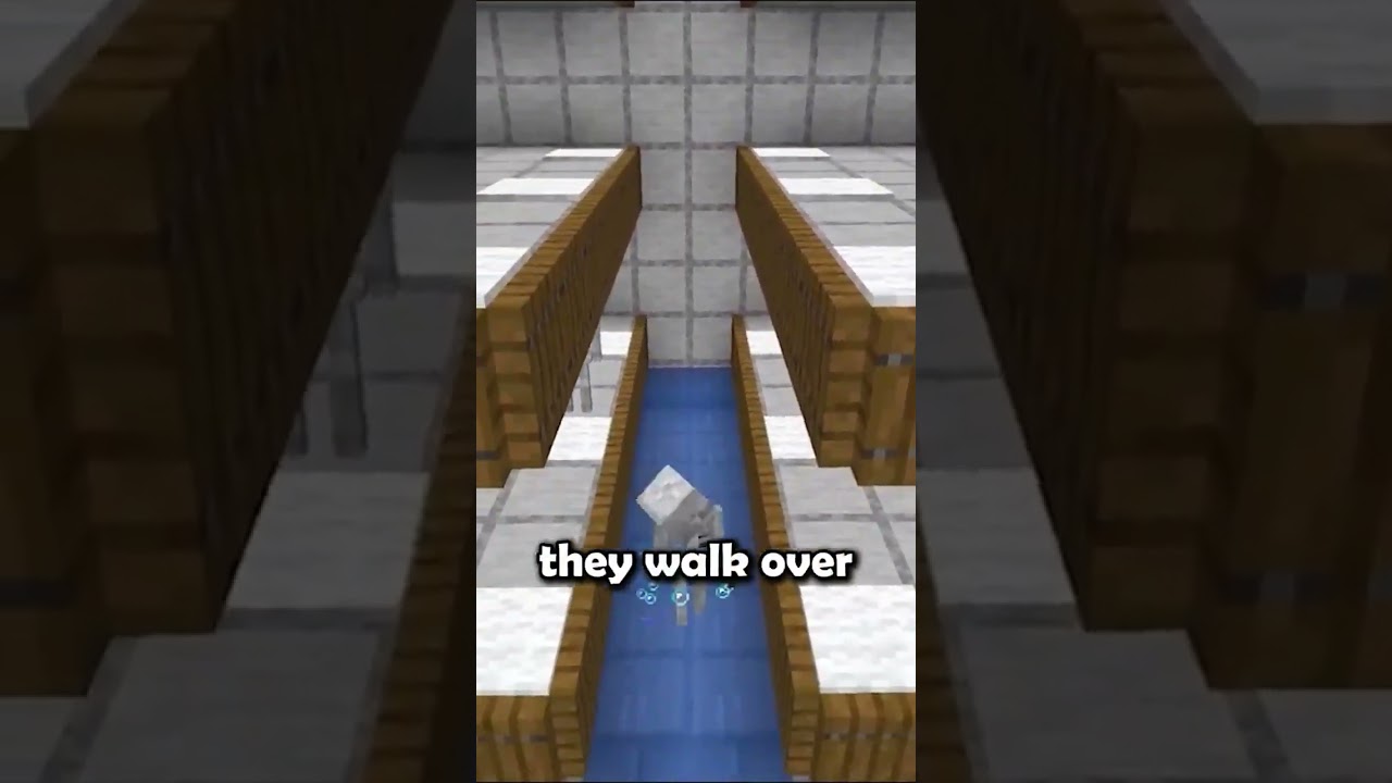 trial video