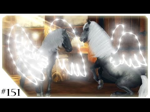 Alicia Online #151 | CZ