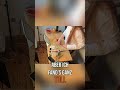 Nonnen kämpfen für Gerechtigkeit: Eine Serie begeistert! #shorts