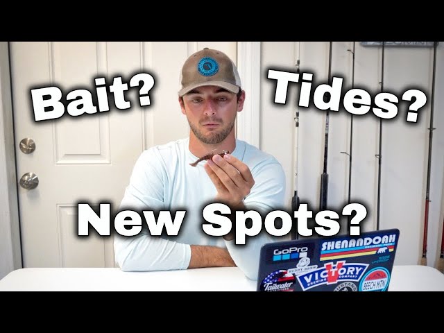 Beginner's Guide to Saltwater Fishing: Common Questions Q&A 