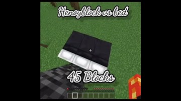Bed VS Honey block (EDITIONGAMING)