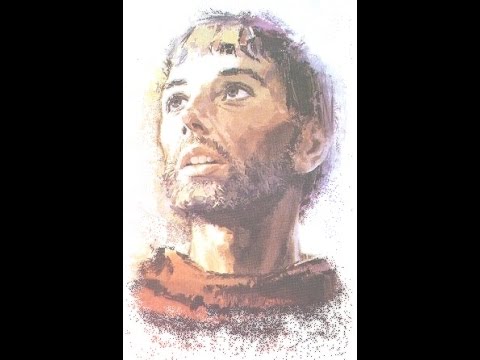 San Francesco d'Assisi e la sapienza dello Spirito Santo (Francesco va)