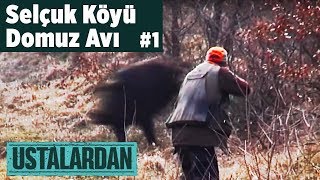 Selçuk Köyü Domuz Avı - 1 Bölüm Ustalardan - Yaban Tv Wild Boar Hunting Turkey