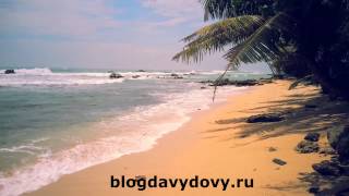 Пляж Серф Шадов бич, Мидигама(Surf Shadow beach, Midigama) февраль 2015, Шри-Ланка (Sri   Lanka)