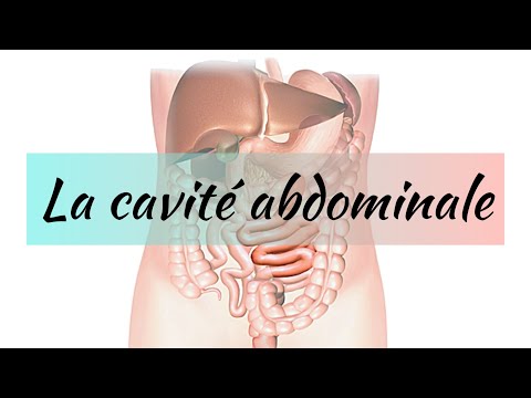 Vidéo: Inflammation De La Cavité Abdominale Du Chien - Cavité Péritonéale Du Chien