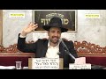 הרב מאיר אליהו תלמוד תורה כנגד כולם מוסאיוף ה תשפ ג הרב מאיר אליהו תלמוד תורה כנגד כולם מוסאיוף ה תשפ ג