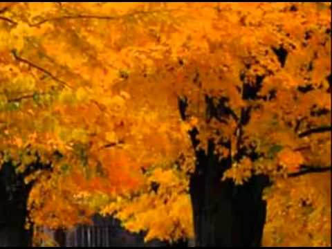 პირველადი სამედიცინო დახმარება. N 24