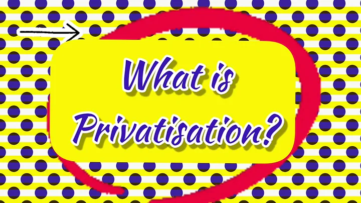 What is Privatisation?