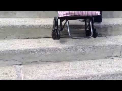 Сумка тележка хозяйственная Рыжий кот