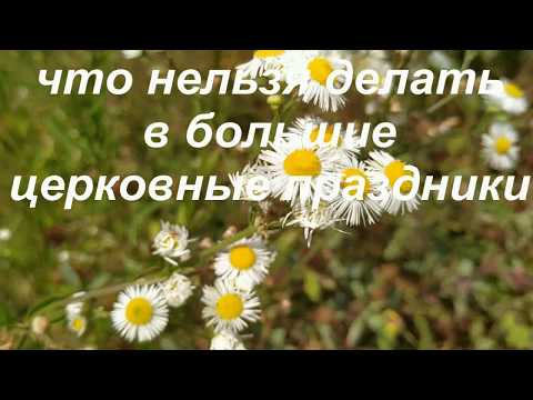 Что нельзя делать в большие церковные праздники? Народные приметы и традиции.