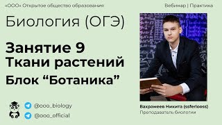 ОГЭ по Биологии | Занятие 9 | Ткани растений | Преподаватель - Вахрамеев Никита