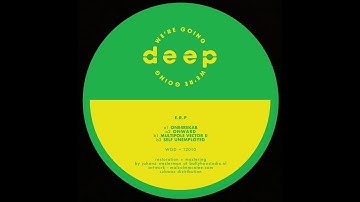 E.R.P. -- Multipole Vector Ii