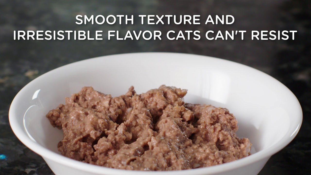 science diet ocean fish entree