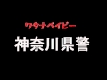 ワタナベイビー 『神奈川県警』