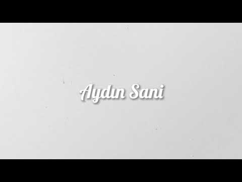 Aydın Sani - Nə alım gələndə sənçün