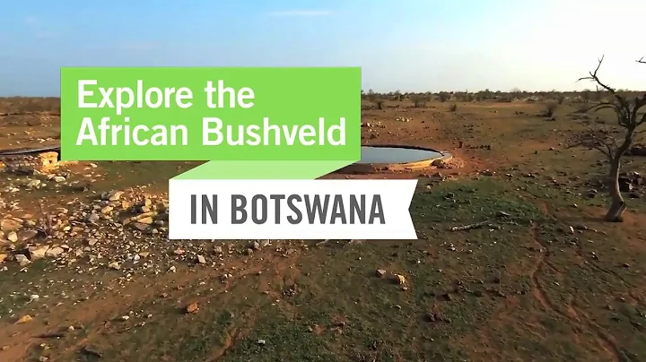 Wildlife Conservation Projects in Botswana with Projects Abroad