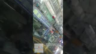 ✨新北市|東湖 康寧街 汐止|2025 紀錄 | 대만 여행 | Taiwan Donghu Xizhi Documentary 2025