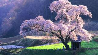 Video thumbnail of "日本国国歌　君が代 Japanese National Anthem Kimigayo (HD)"