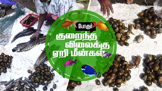 குறைந்த விலையில் ஏரி மீன் | போரூர் ஏரி மீன் மார்க்கெட் சந்தை |  | Porur Lake Eri Live Fish Market