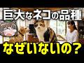【なぜ?】犬と違って猫に大型品種が存在しない本当の理由とは