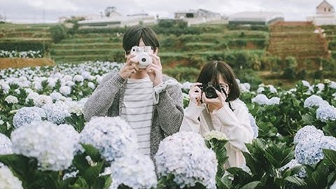 Ngắm trọn vẻ đẹp của những cánh đồng hoa Cẩm Tú Cầu nổi tiếng ở Đà Lạt #saigontoday