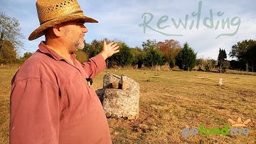Join us on our Rewilding of 2 hectares of land