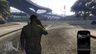Grand Theft Auto V Weegee