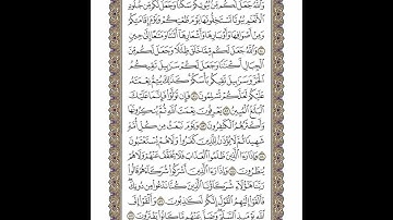 الوجه 276 من القرآن مكرر ١٠ مرات مع الآيات | سورة النحل | الشيخ خليفة الطنيجي