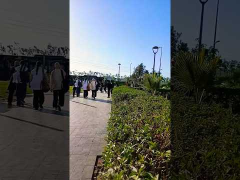 حينما ترى حاسدا قل ثلاث مرات في سرك دون أن يسمعك