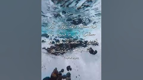 #بلغوا_عني_ولو_آيه بصوت هشام مجدي الآية ٧٨ الي ٨١  من سورة المائدة