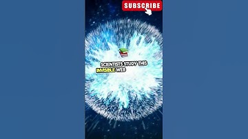 The Cosmic Web: The Invisible Structure of the Universe 🌐 #shorts_video #space #fascinatingfacts