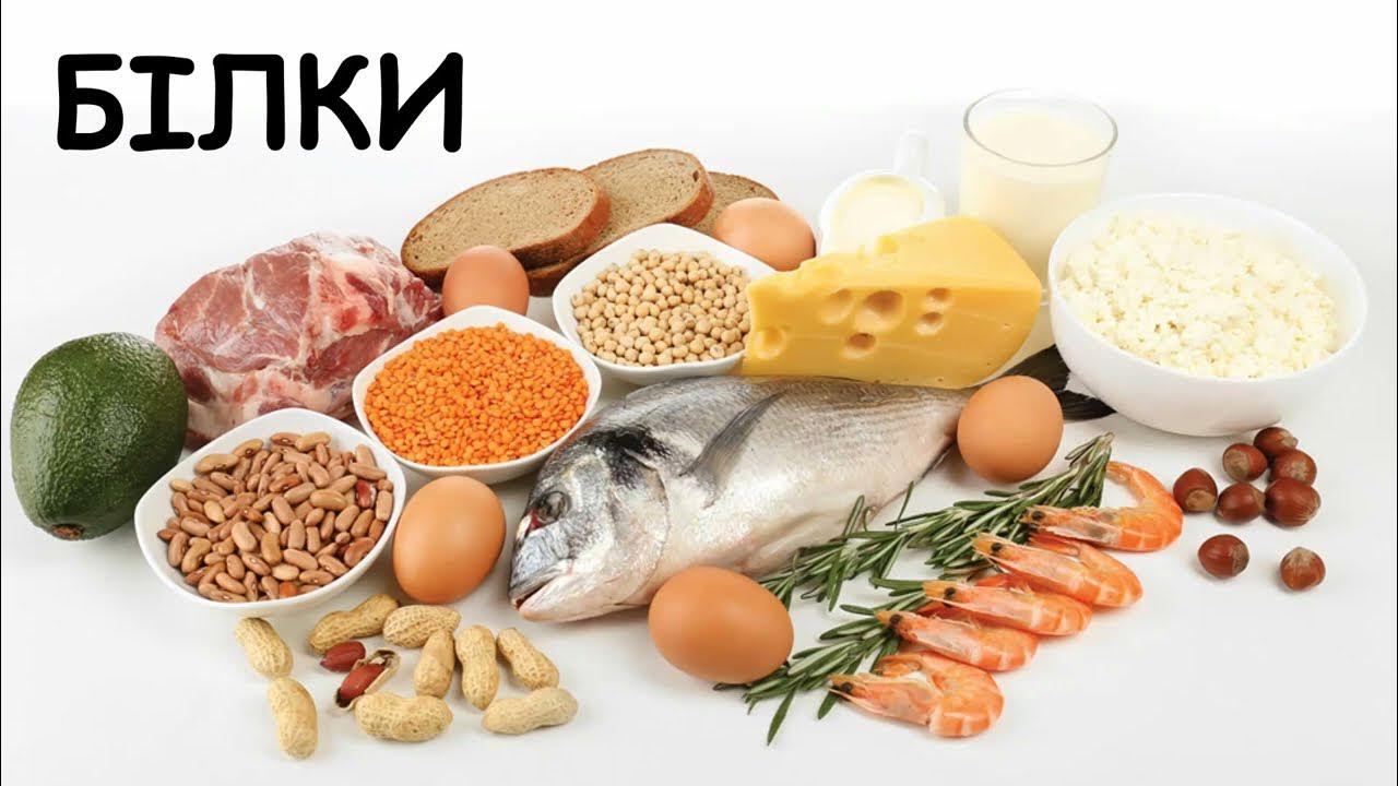 Пищевые источники белка. Белковые продукты. Белок нутриент. Здоровая еда. Белки строительный материал.